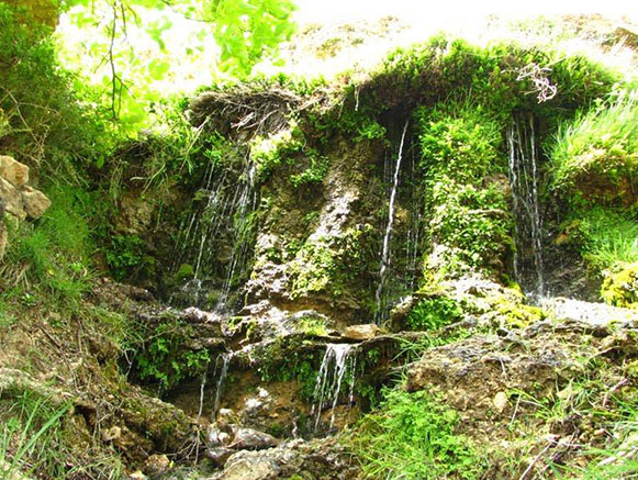 چشمه انگورستانی دامغان