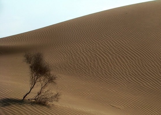 روستای رضاآباد شاهرود