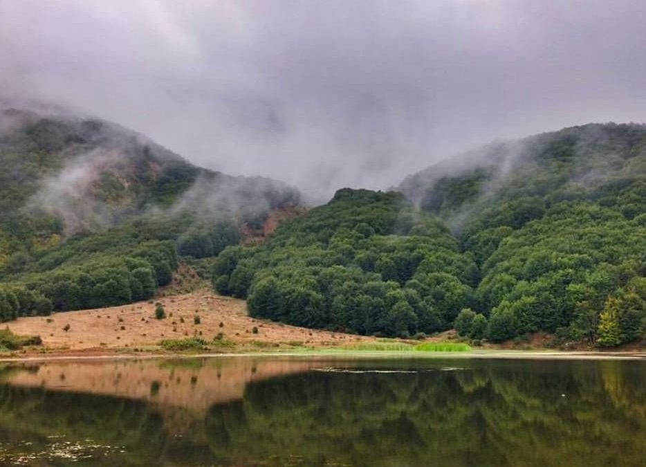 روستای داماش سوسن چلچراغ