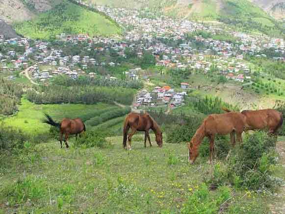 روستای جواهرده