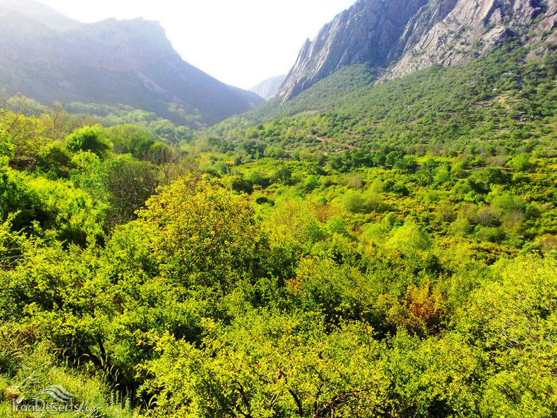 بوان ممسنی