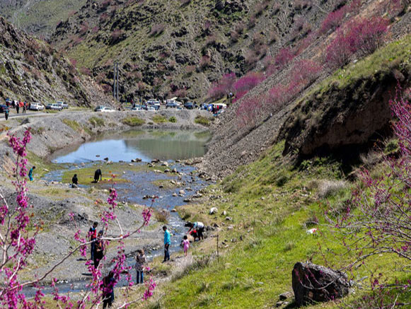 دره ارغوان طرقبه