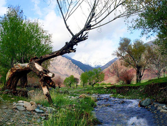 باغرود نیشابور