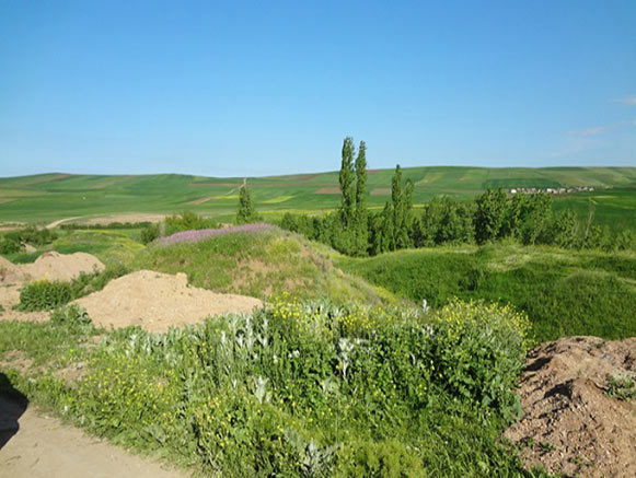 روستای شوکورلو